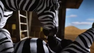 Anthro Zebra Oral Sex 3d Furry Yiff